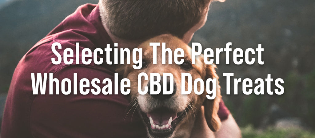 Selecting The Perfect Wholesale CBD Dog Treats