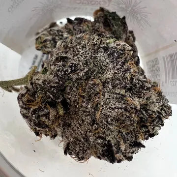 Destino Farms Indoor THCA Flower 7G