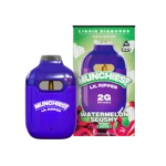 Delta Munchies – Lil Ripper THCA Vape Pen – 2g Liquid Diamond